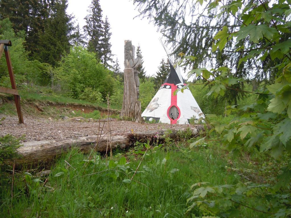 Klosterweiherhof Dachsberg im Schwarzwald Exterior foto