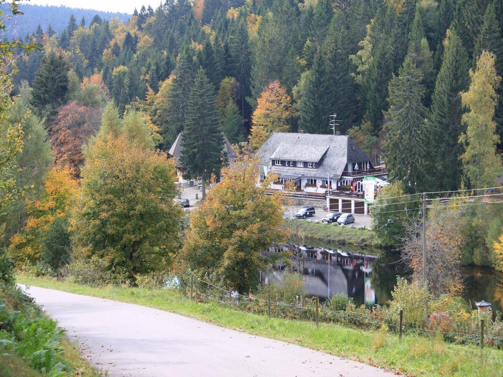 Klosterweiherhof Dachsberg im Schwarzwald Exterior foto
